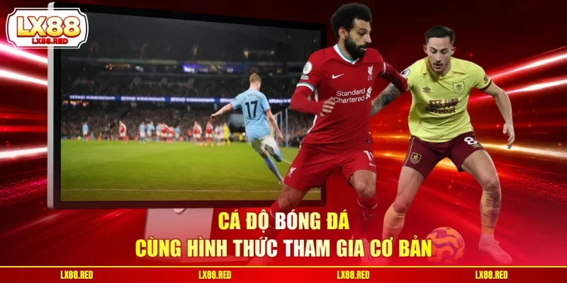 Cá độ bóng đá cùng hình thức tham gia cơ bản
